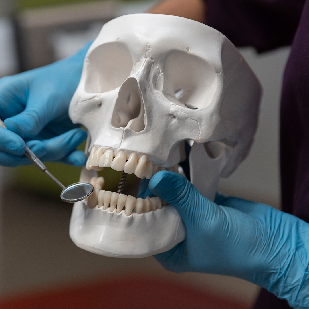 Skull Base Reconstruction
